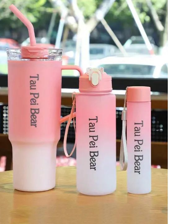 Tumbler 3pcs bottle set with straw